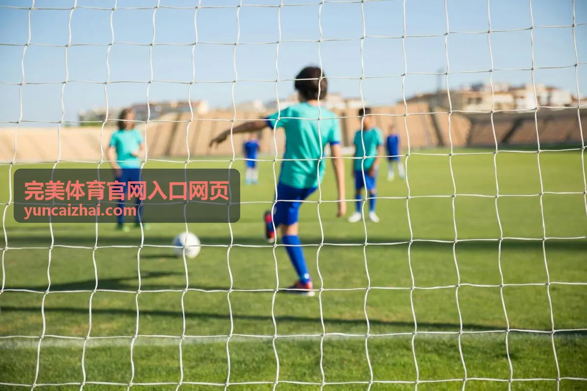 完美体育官网入口网页操作步骤演示图